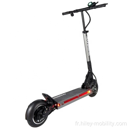 Hiley deux roues pliant un scooter électrique pour les adultes